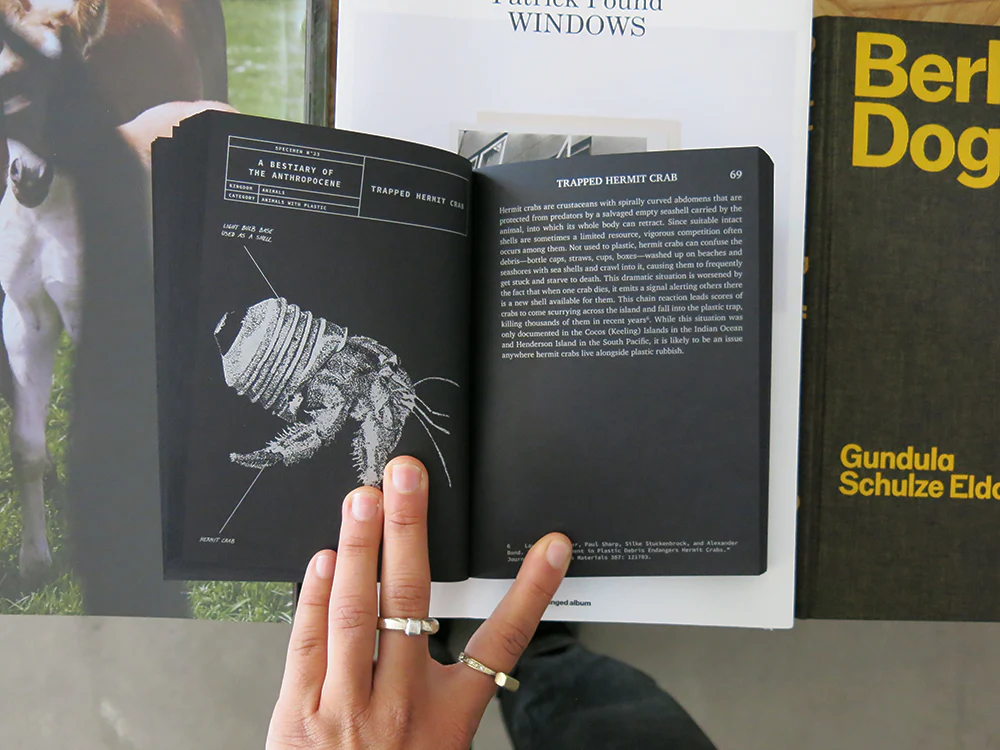 A Bestiary of the Anthropocene - Image 7