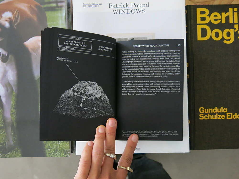 A Bestiary of the Anthropocene - Image 9