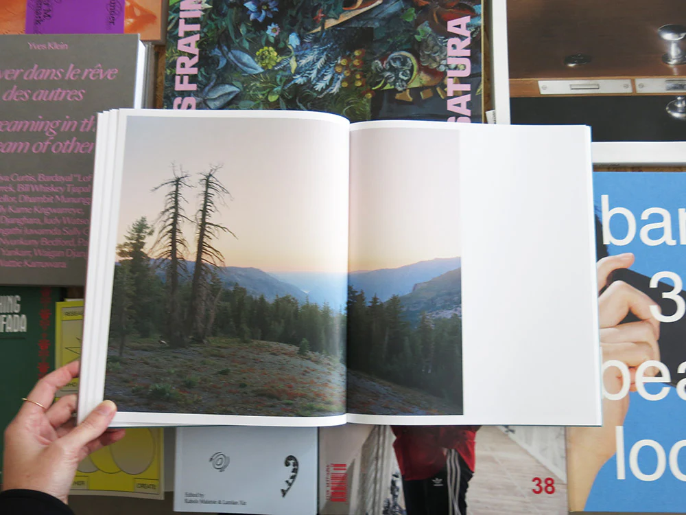 Aaron Rothman – The Sierra - Image 5