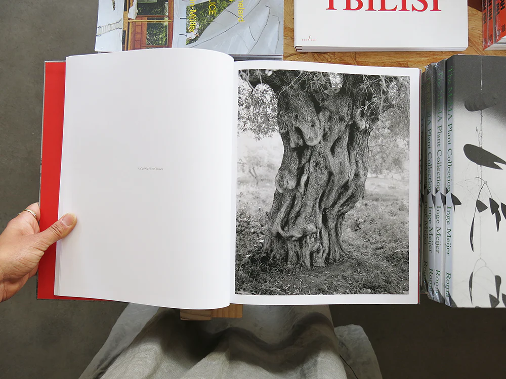 Adam Broomberg & Rafael Gonzalez – Anchor in the Landscape - Image 8