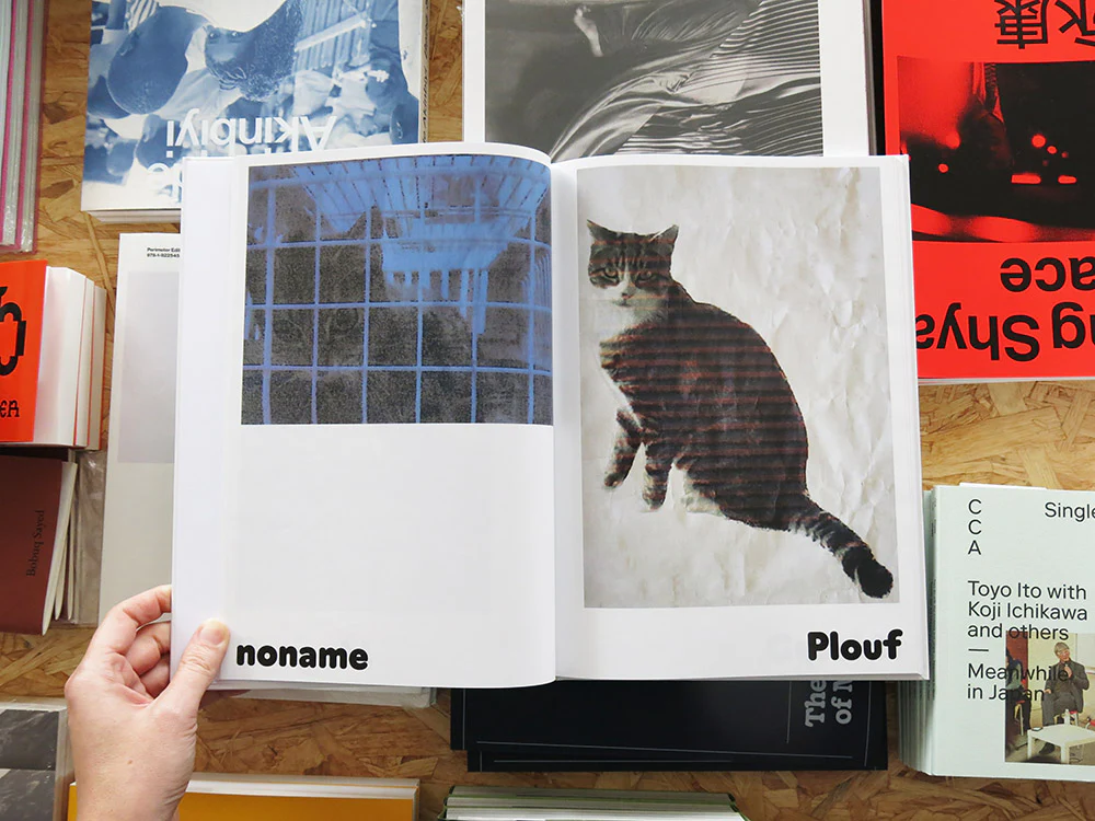 Alain Rappaport – Paul - Image 4