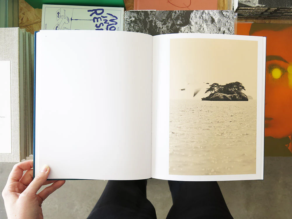 Albarrán Cabrera – On Birds (Des oiseaux) - Image 5