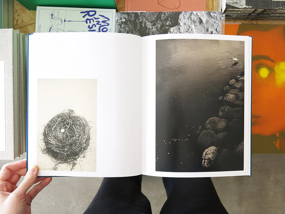 Albarrán Cabrera – On Birds (Des oiseaux) - Image 6