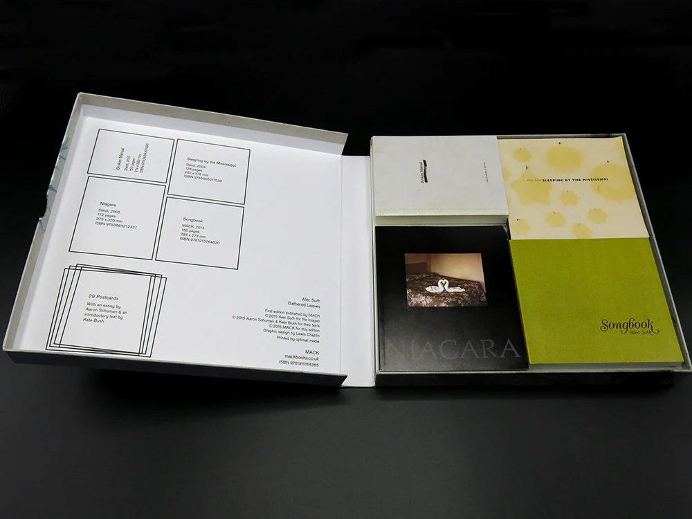 Alec Soth – Gathered Leaves (Rare) - Image 2