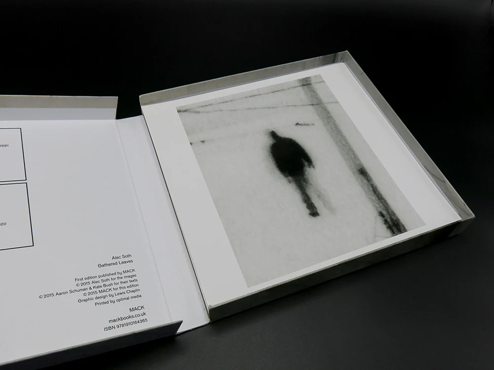 Alec Soth – Gathered Leaves (Rare) - Image 7