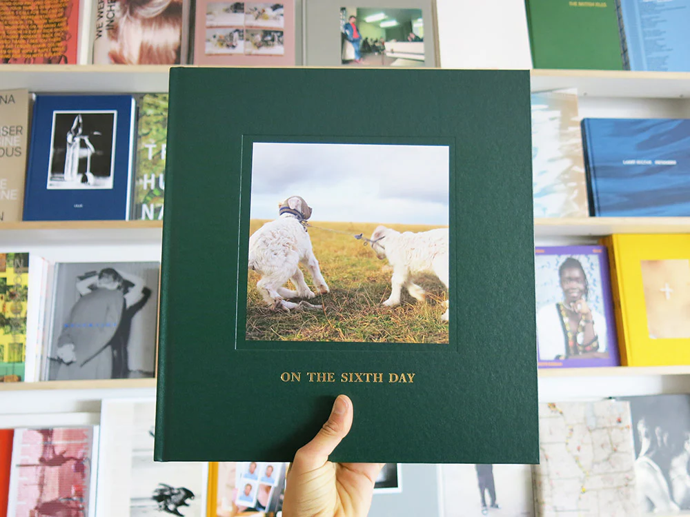 Alessandra Sanguinetti – On the Sixth Day