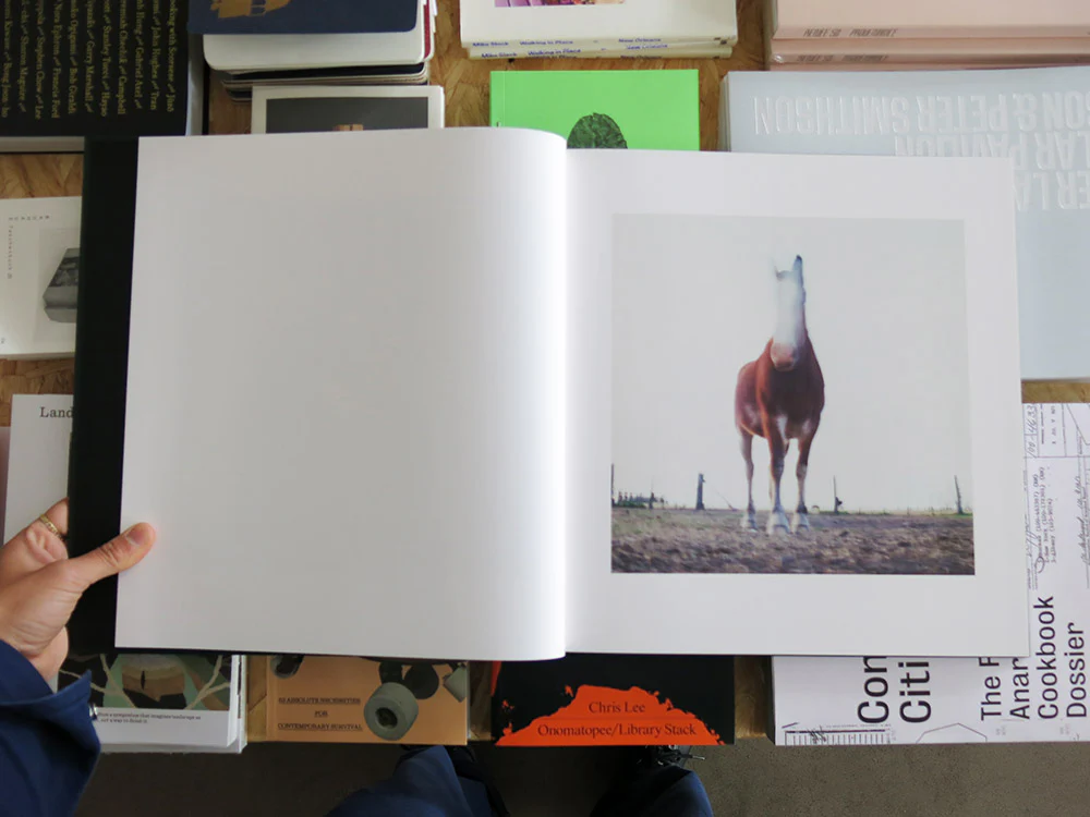 Alessandra Sanguinetti – On the Sixth Day - Image 2