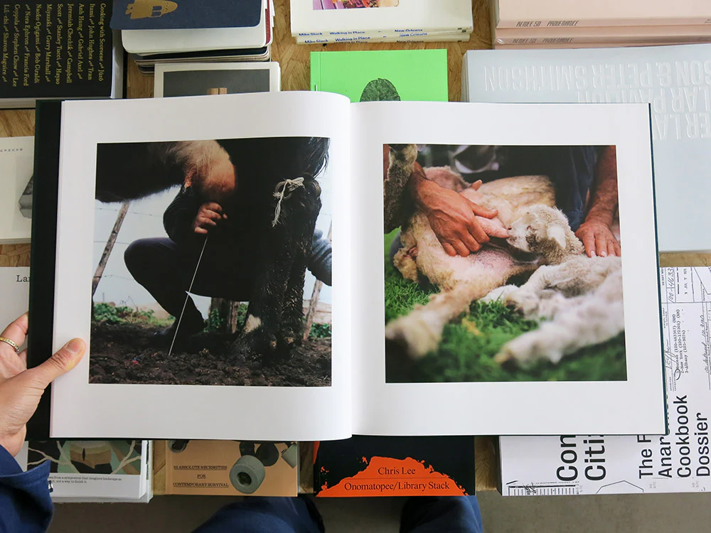 Alessandra Sanguinetti – On the Sixth Day - Image 3