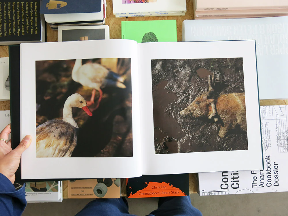 Alessandra Sanguinetti – On the Sixth Day - Image 4