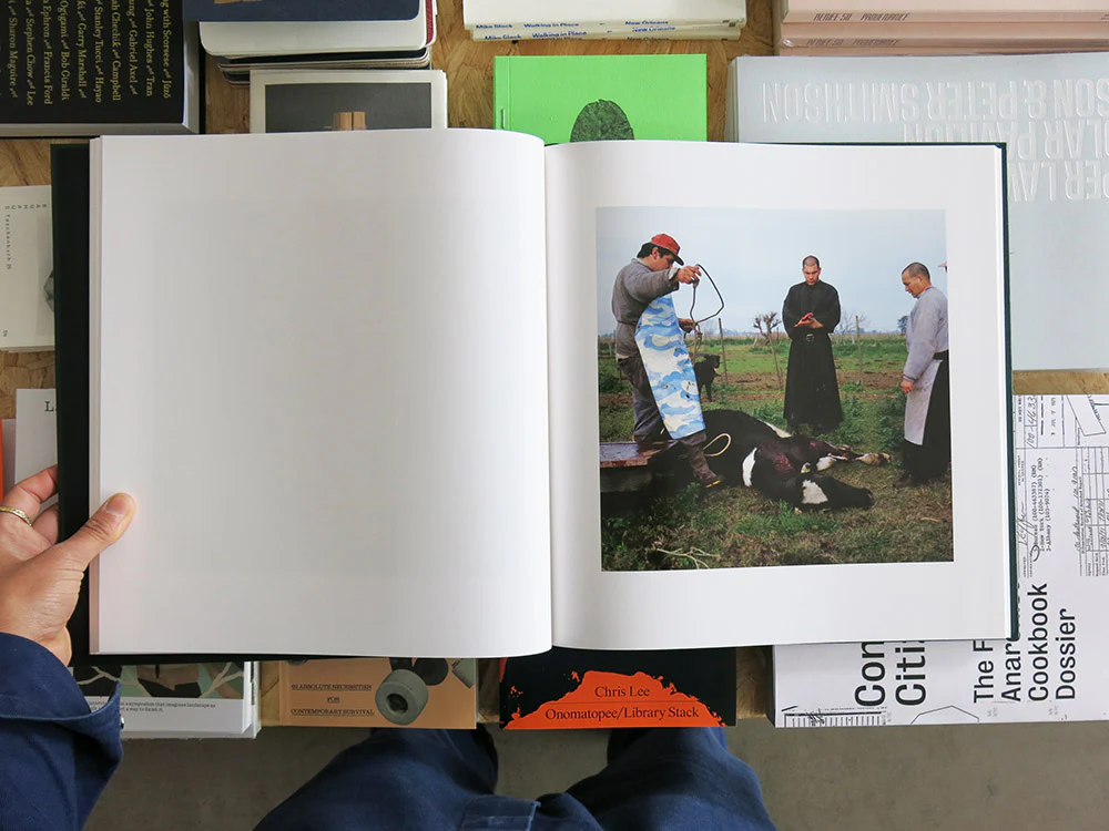 Alessandra Sanguinetti – On the Sixth Day - Image 7
