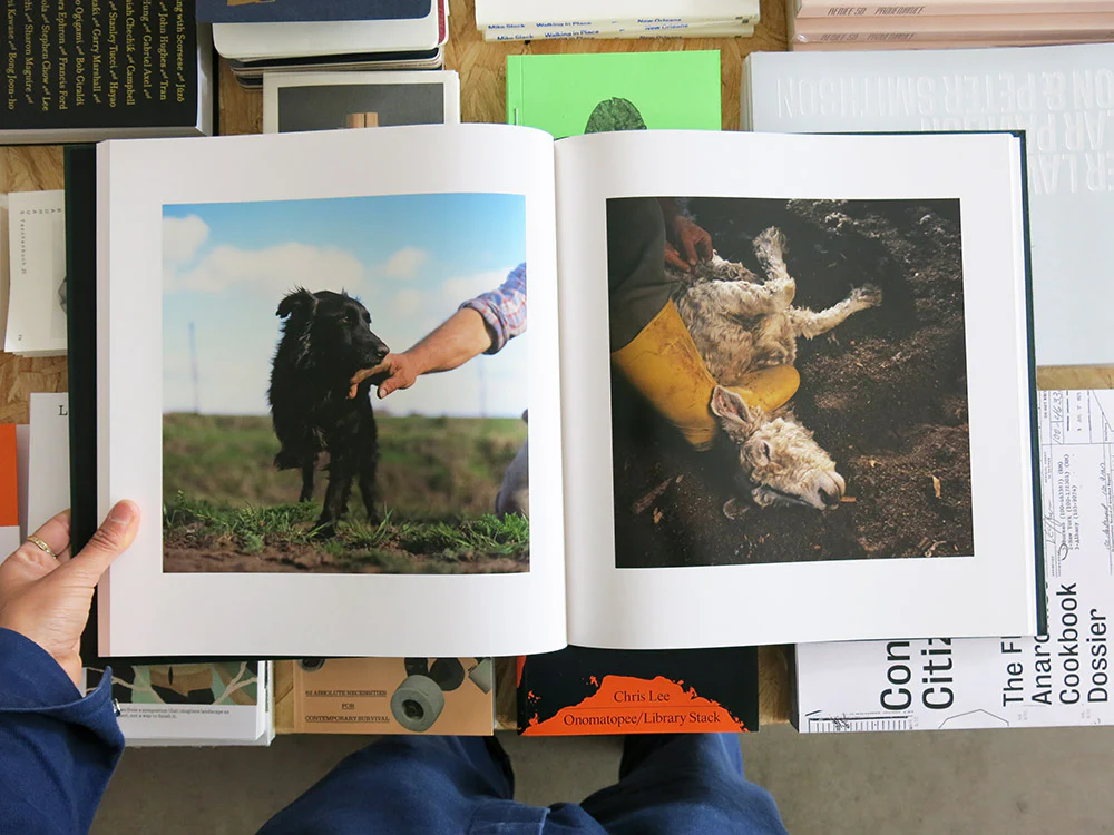 Alessandra Sanguinetti – On the Sixth Day - Image 8