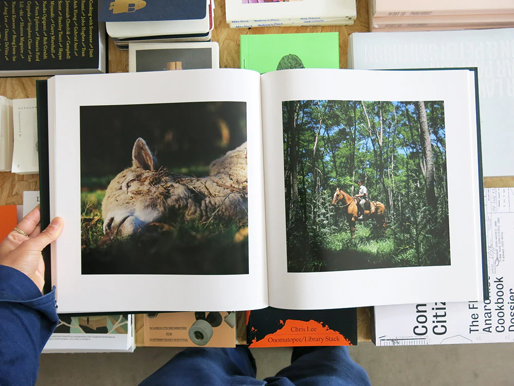 Alessandra Sanguinetti – On the Sixth Day - Image 9
