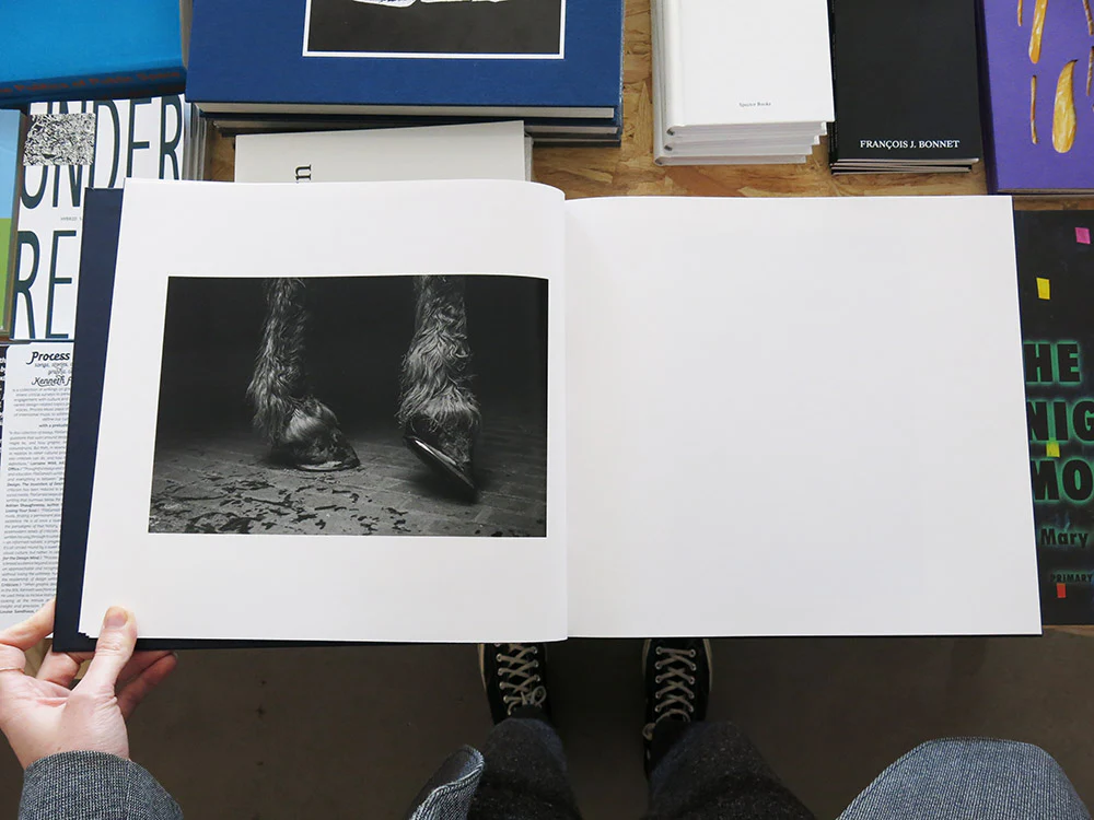 Alessandra Sanguinetti – Some Say Ice - Image 3