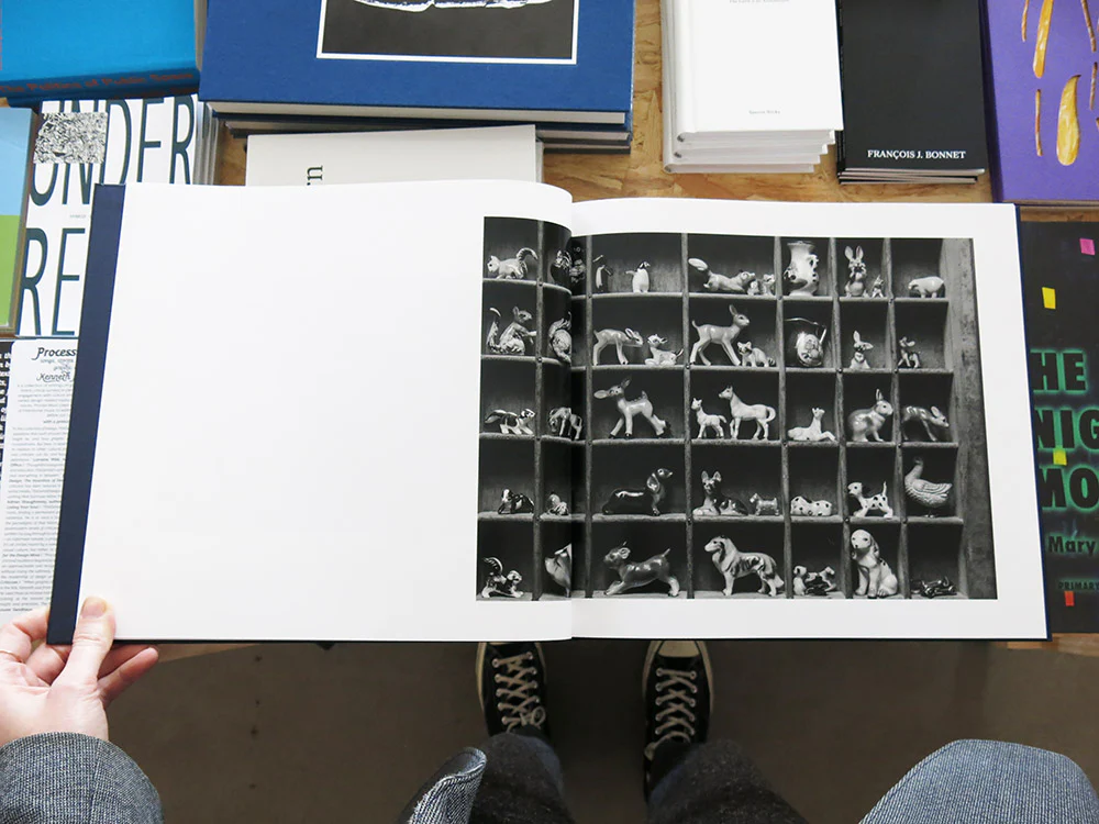Alessandra Sanguinetti – Some Say Ice - Image 6