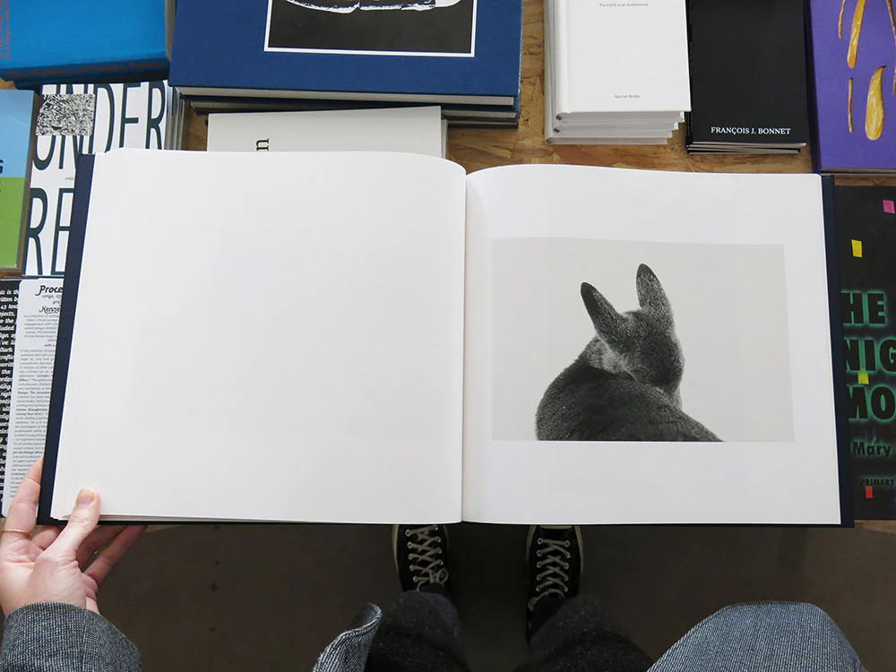 Alessandra Sanguinetti – Some Say Ice - Image 8