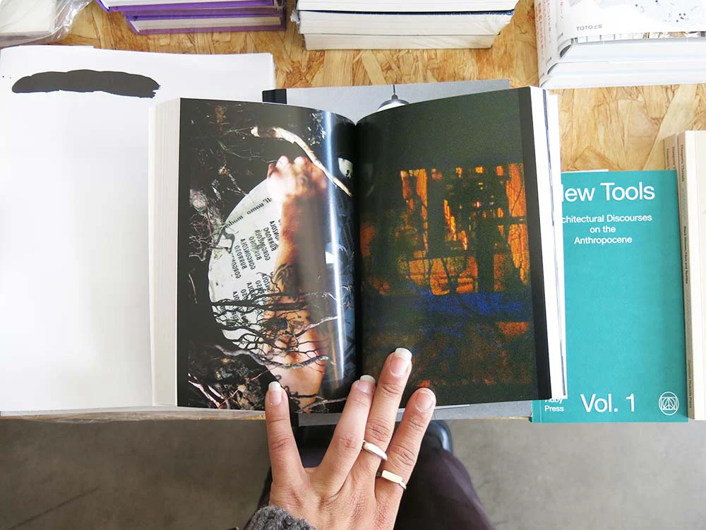 Alessandro Di Pietro: Ghostwriting Paul Thek - Image 4
