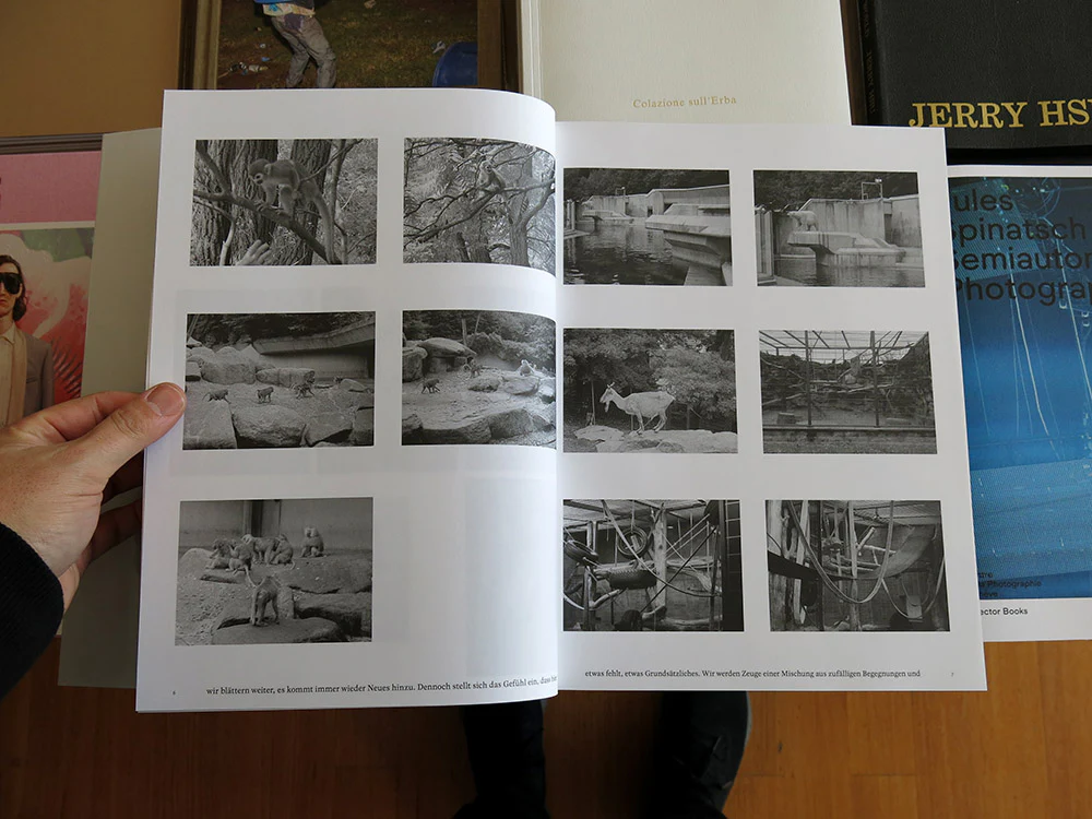 Alex Hanimann – Etwas fehlt - Image 2