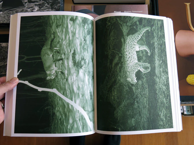 Alex Hanimann - Trapped - Image 5