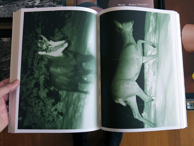 Alex Hanimann - Trapped - Image 6