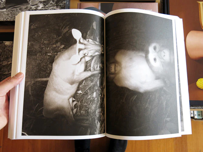Alex Hanimann - Trapped - Image 7