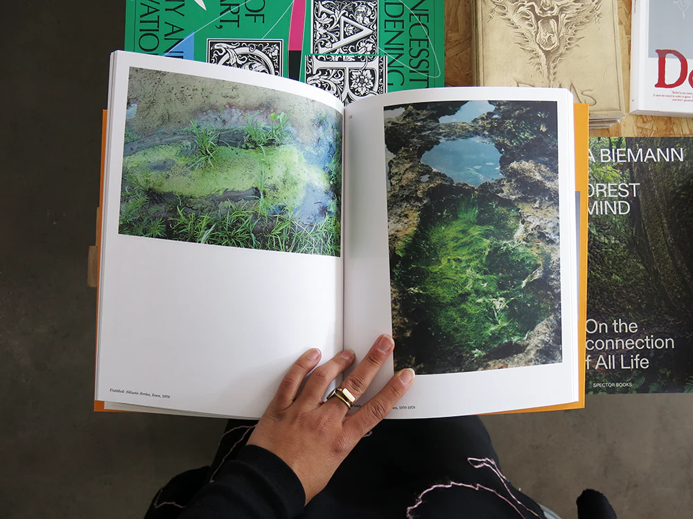 Ana Mendieta – Search for Origin - Image 7