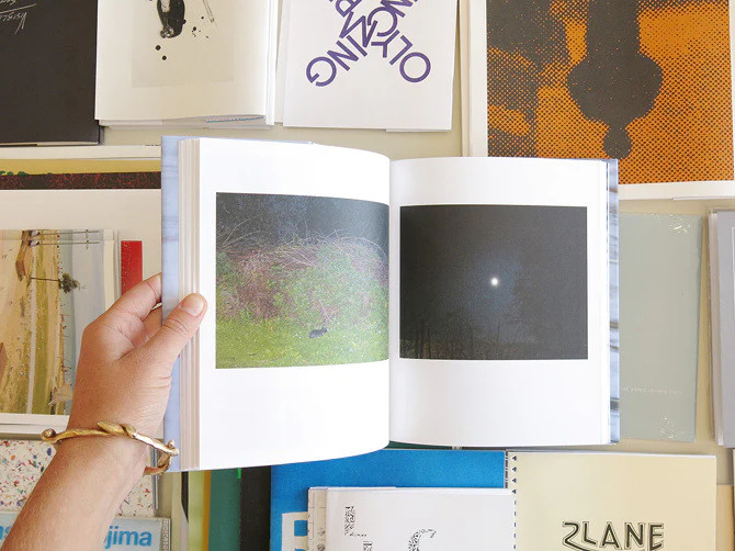Anais Lopez - In The Beginning No Bird Sang - Image 5