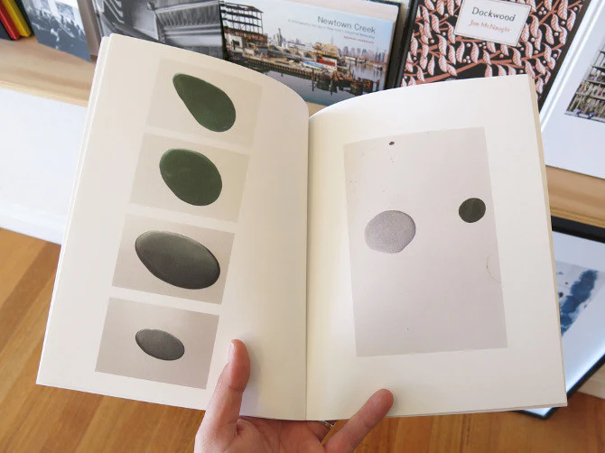Anders Edström - 	Safari - Image 3