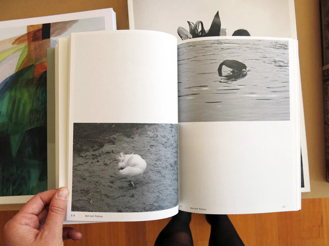 Anne Geene & Arjan De Nooy - Ornithology - Image 8