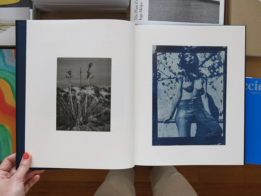 Annemarieke van Drimmelen – Tadaima - Image 3