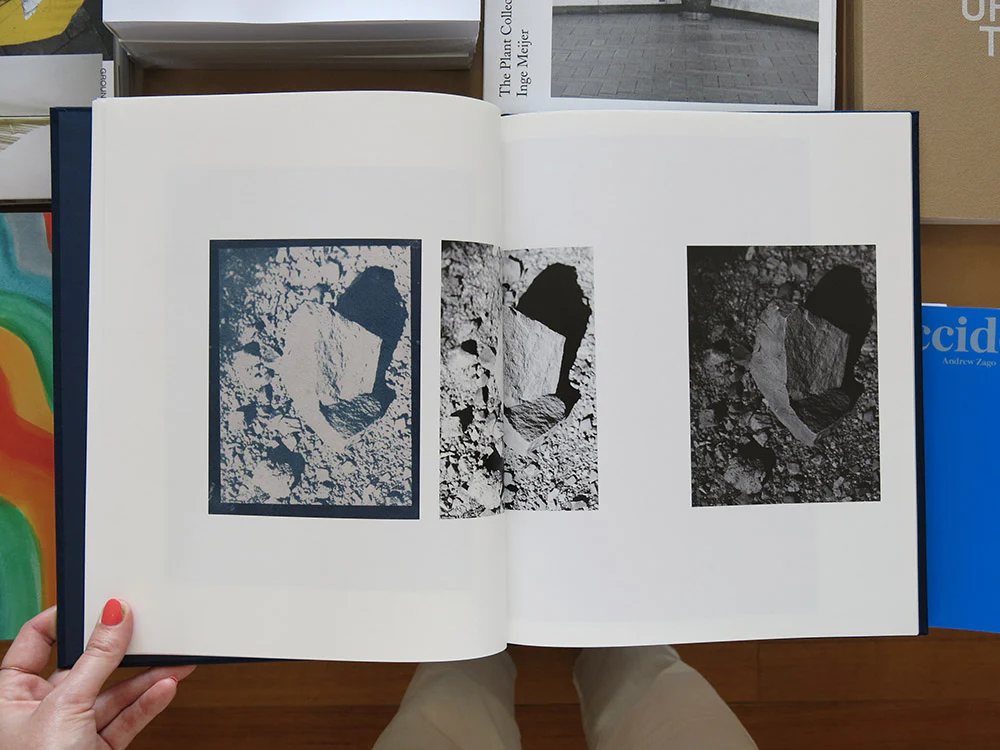 Annemarieke van Drimmelen – Tadaima - Image 4