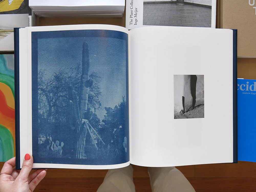Annemarieke van Drimmelen – Tadaima - Image 6