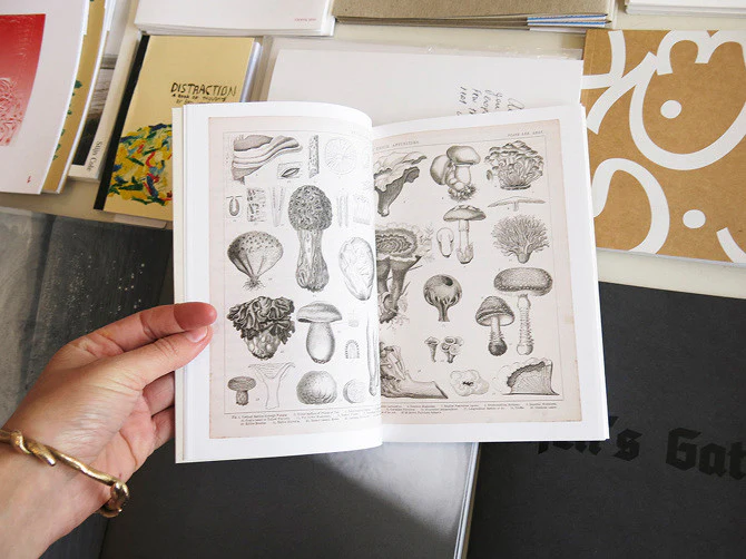Annie Ratti - The Mushroom Project - Image 3