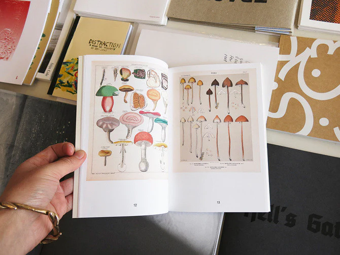 Annie Ratti - The Mushroom Project - Image 4