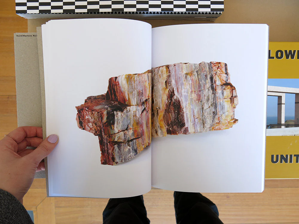 Bad Luck, Hot Rocks: Conscience Letters & Photographs from the Petrified Forest (Second Edition) - Image 4