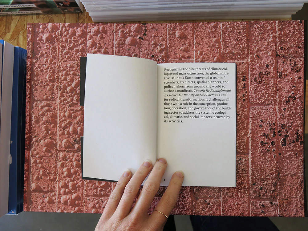 Bauhaus Earth – Toward Re-Entanglement: A Charter for the City and the Earth - Image 2