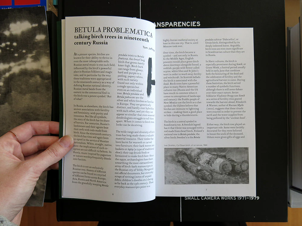 Becoming the Forest Issue 3: Treading the arboreal pathway through the backwoods of black metal - Image 2