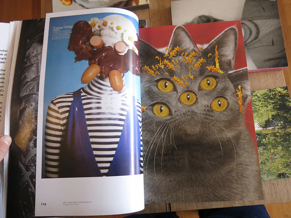 Beni Bischof - Psychobuch - Image 4