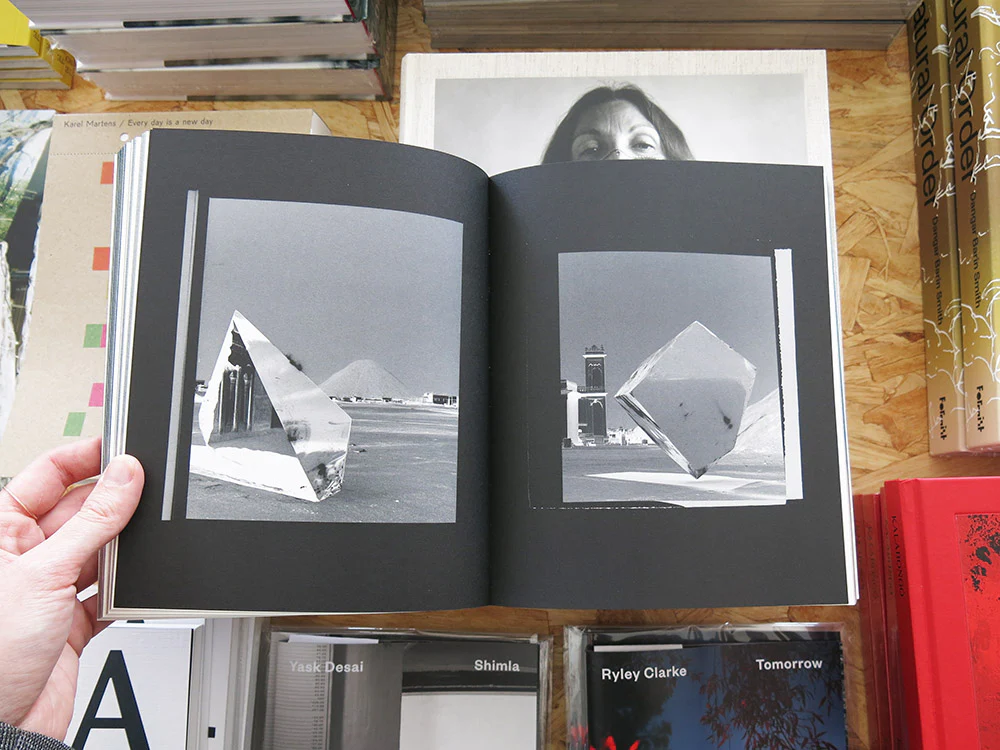 PRE-ORDER: Bharat Sikka – Elephant in the Room - Image 6