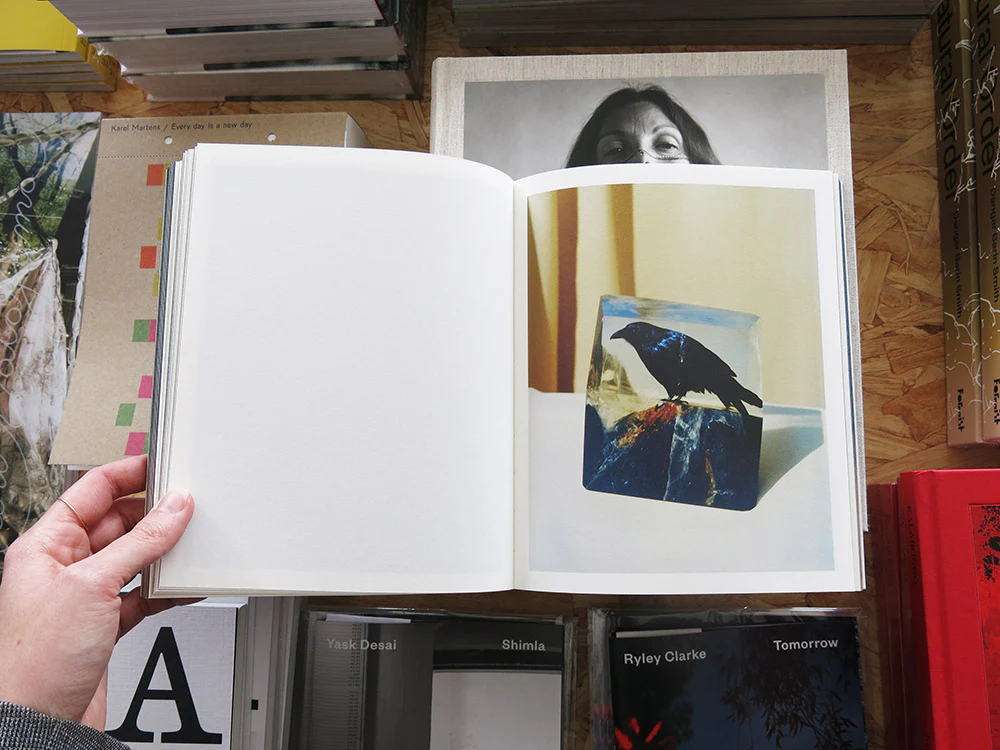 PRE-ORDER: Bharat Sikka – Elephant in the Room - Image 8
