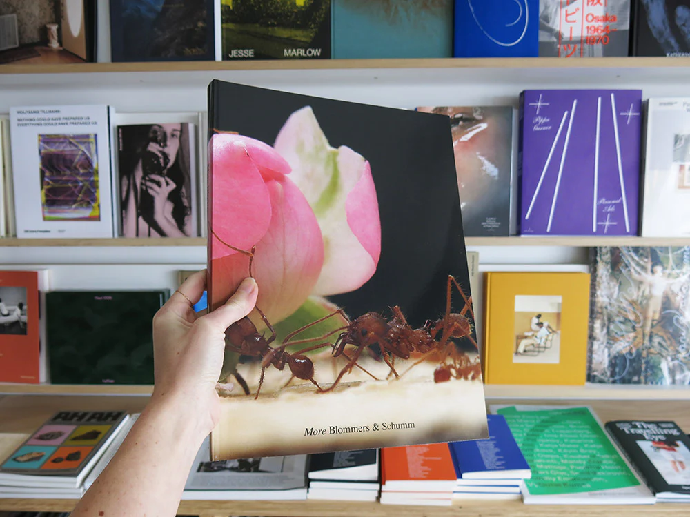 Blommers & Schumm – More