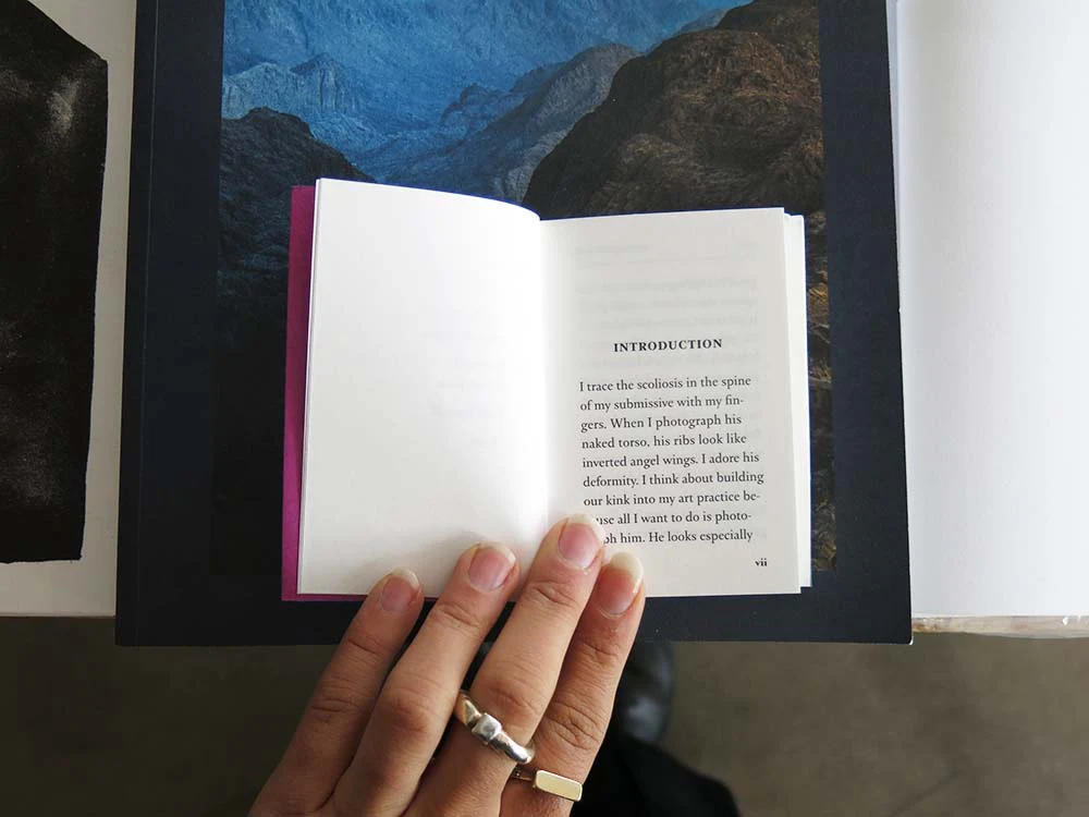 Bob Flanagan – Fuck Journal - Image 2
