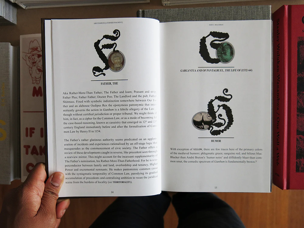 Book A/MEGACOLON/For and Against Language - Image 3