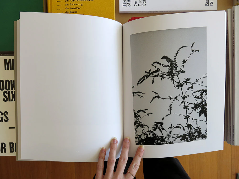 Brian Kanagaki – Golden Persimmons II - Image 6