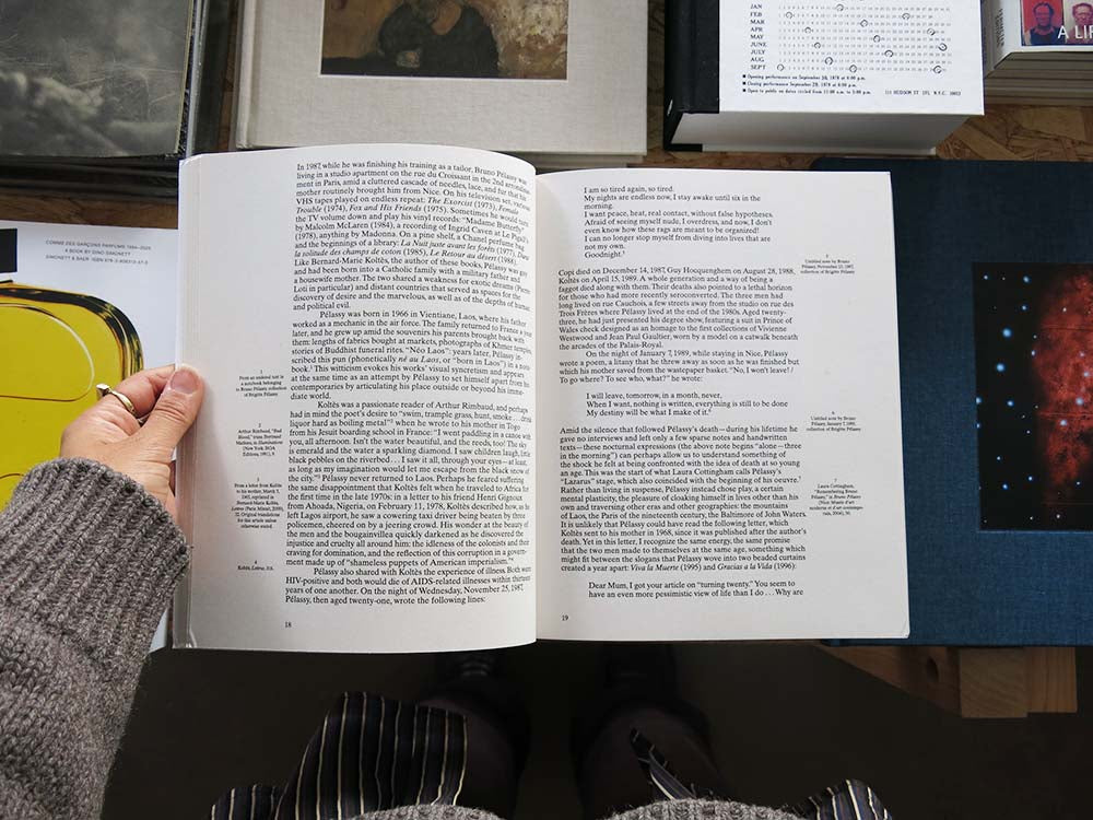 Bruno Pélassy - Image 10