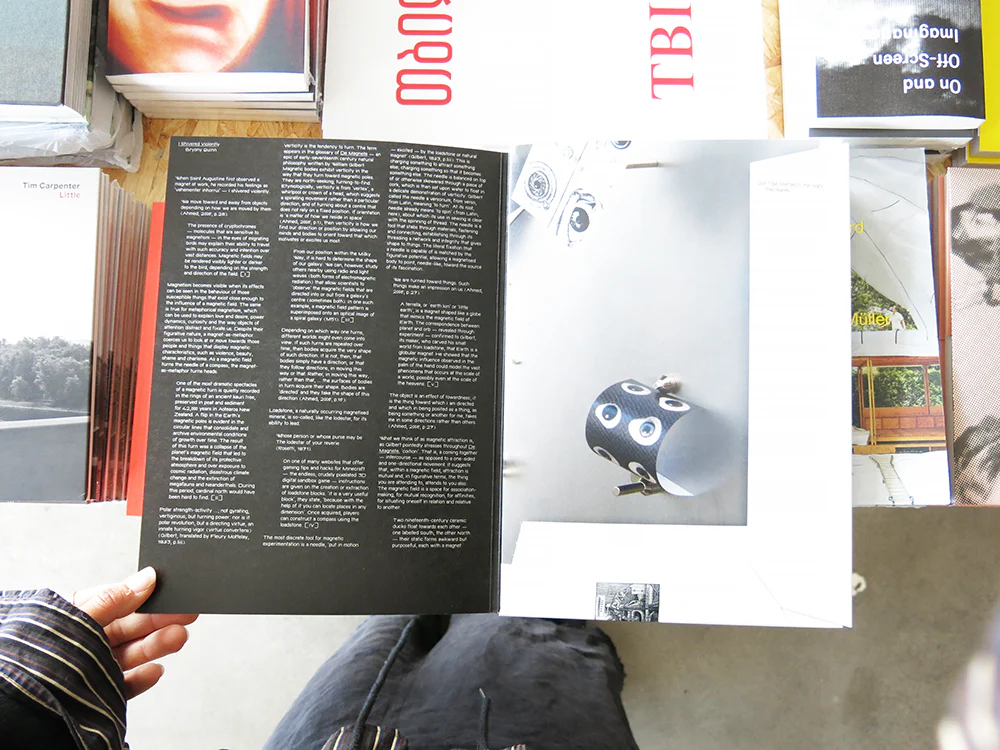 Bryony Quinn & Paul Bailey (eds.) –  I Shivered Violently / Don’t be Startled in the Night - Image 8
