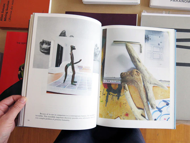 Camille Henrot - Prehistoric Collections - Image 4