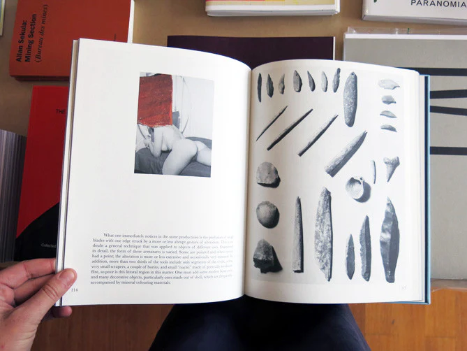 Camille Henrot - Prehistoric Collections - Image 6
