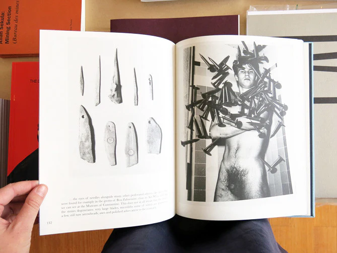 Camille Henrot - Prehistoric Collections - Image 7