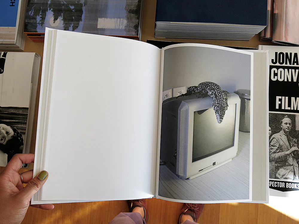 Camille Picquot – Domestic Flight - Image 7