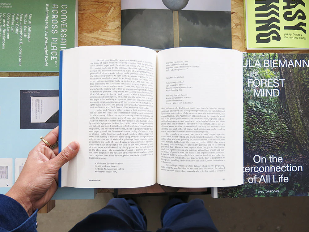 Carol Armstrong – Painting Photography Painting: Selected Essays - Image 7